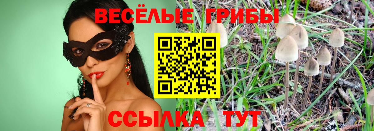 закладки  Псилоцибиновые грибы GOLDEN TEACHER  Галлюциногенные грибы мицелий  Вход с VPN  Сарапул 